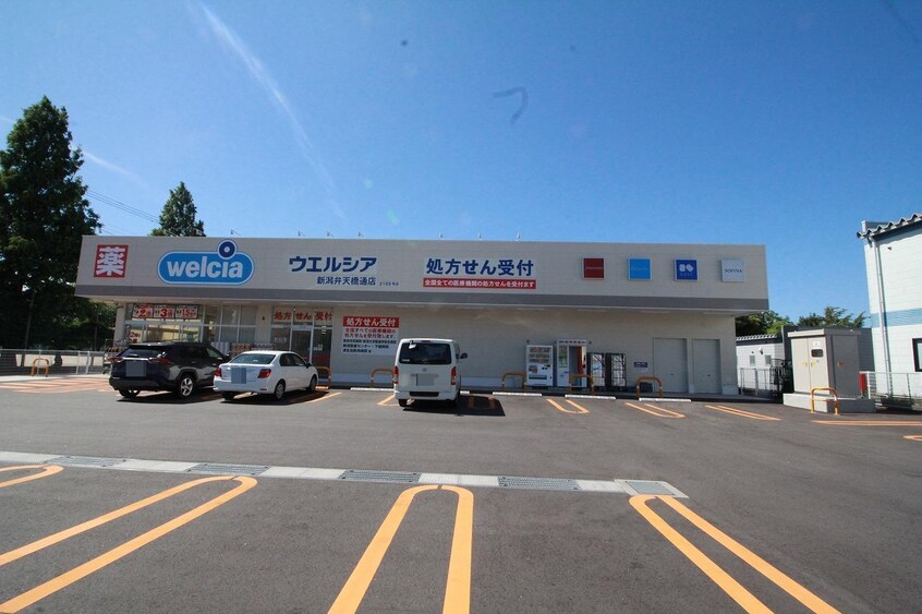ウエルシア新潟弁天橋通店、(ドラッグストア)まで280m カーサコラゾン