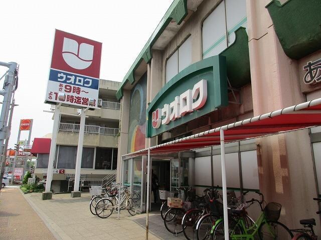 ウオロク関屋店(スーパー)まで351m 関屋金衛町貸家