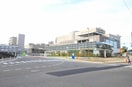 新潟大学医歯学総合病院(病院)まで2290m 関屋金衛町貸家