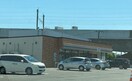 セブンイレブン新潟新和1丁目店(コンビニ)まで625m D-ROOM新和
