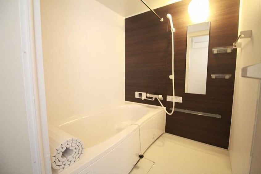  シャン・ドール