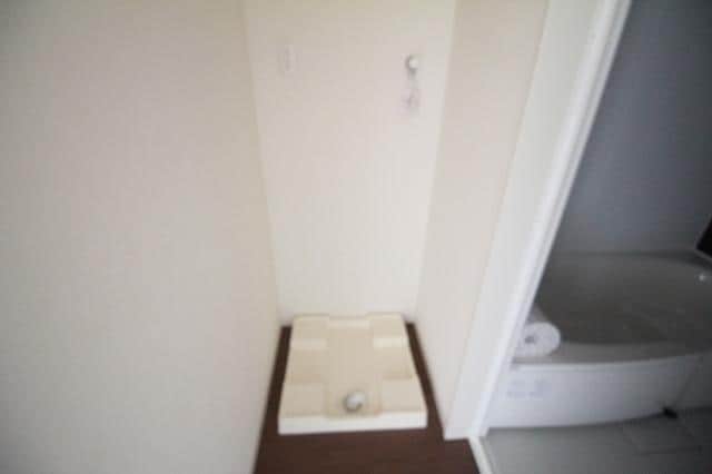  シャン・ドール