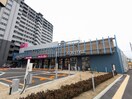 イオンスタイル白山浦(スーパー)まで681m 学校町３番町戸建