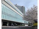 日本赤十字社医療センター(病院)まで1567m※総合病院 レジディア代官山