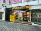 CoCo壱番屋渋谷並木橋店(その他飲食（ファミレスなど）)まで551m 菱和パレス青山南