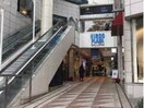 広尾プラザ(ショッピングセンター/アウトレットモール)まで1494m※広尾駅徒歩1分の緑に囲まれたショッピングモール 山手線/恵比寿駅 徒歩15分 4階 築14年