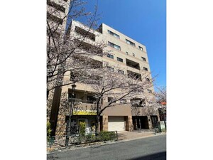 カメリア広尾