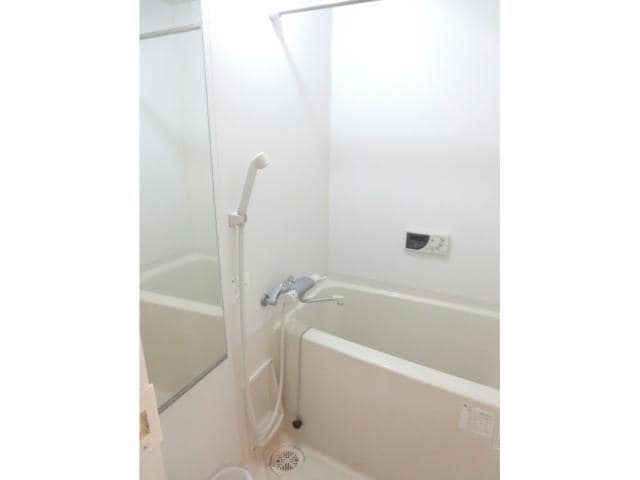  グリーンフォレスト