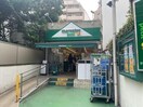 マルエツプチ渋谷鶯谷町店(スーパー)まで322m ミュプレ渋谷