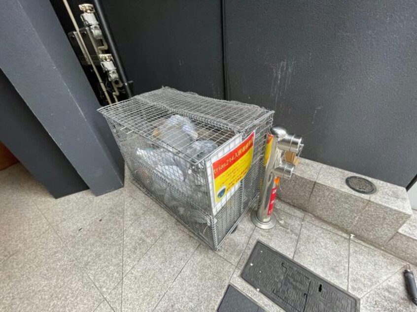 専用ゴミ置場 山手線/恵比寿駅 徒歩10分 7階 築3年