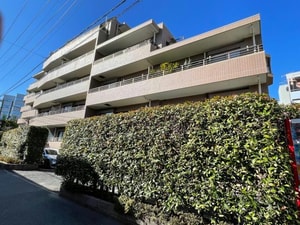 クリオ恵比寿弐番館（411）