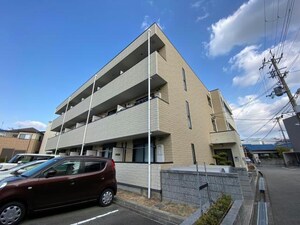 アンプルールフェールネサンス★