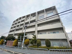 エターナル緑丘★