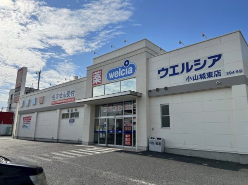 ウエルシア小山城東店(ドラッグストア)まで816m ＡＭＭ プランドール