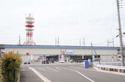 カワチ薬品 小山駅東通り店(ドラッグストア)まで525m Anatoli