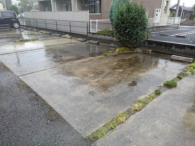  エレガンシア　ルーナ