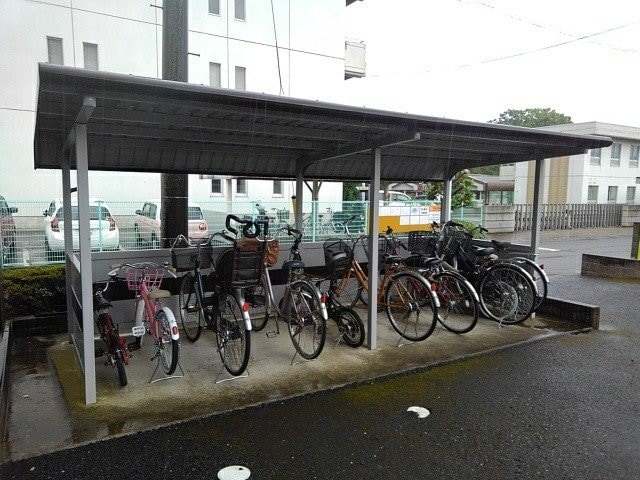  エレガンシア　ルーナ