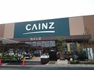 CAINZ(カインズ) 小山店(電気量販店/ホームセンター)まで542m Ｄ-ｒｏｏｍ思川ジョーヌ Ｉ