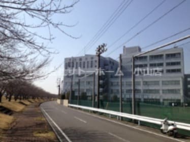 白鴎大学 大行寺キャンパス(大学/短大/専門学校)まで1227m Ｒｏｙａｌ Ｗｉｔ Ｅ