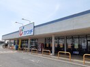 カワチ　間々田店まで550m フラワールピナス