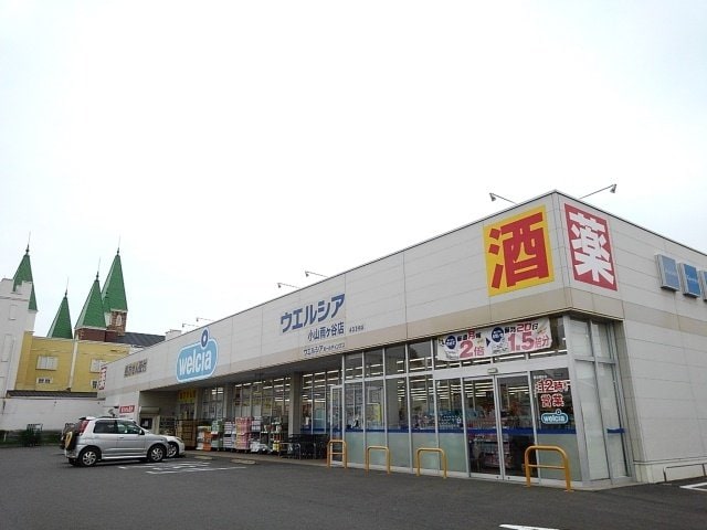 ウエルシア小山雨ヶ谷店まで1000m エレガントドリーム