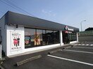 ドミノ・ピザ小山店まで450m ソレアード