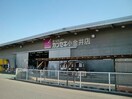 HOME CENTER(ホーム センター)カンセキ 小金井店(電気量販店/ホームセンター)まで837m ラ・フォーレ小山