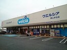 ウエルシア美しが丘店まで1900m シェーヌⅠ