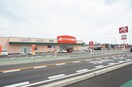 クスリのアオキ 小金井店(ドラッグストア)まで1512m コーポスカイ　A