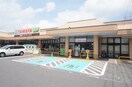 TAIRAYA小金井店(スーパー)まで1298m ラ・ダディッシュ　Ｂ