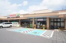 TAIRAYA小金井店(スーパー)まで61m ポンテ リーベ Ａ