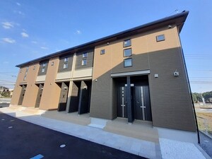 モダン・プリムローズ