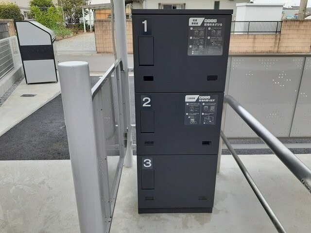  モダン・プリムローズ