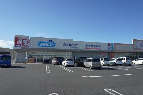 ウエルシア小山羽川店(ドラッグストア)まで650m エール リヴェール Ａ