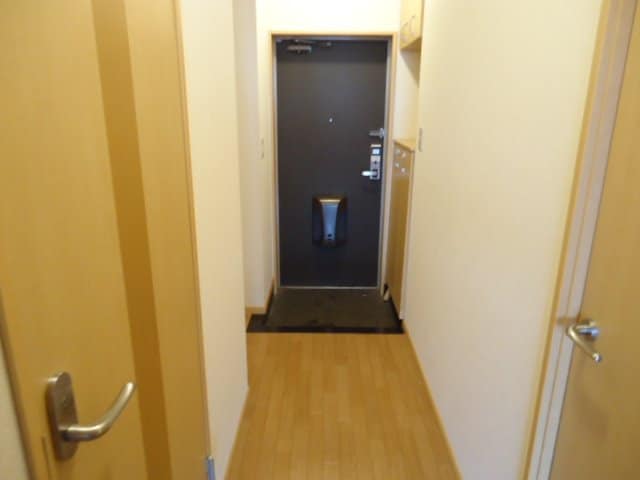 廊下 メゾン・ド・ネイジュⅡ