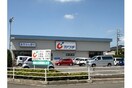 カワチ薬品 自治医大店(ドラッグストア)まで920m ロイヤルハイツ