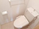 ゆったりとした空間のトイレです フィランソロピー２　Ａ
