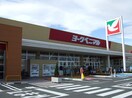 ヨークベニマル石橋店(スーパー)まで2013m サウス・フォレストＢ