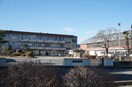 小山市立羽川西小学校(小学校)まで1718m ラビットハウス