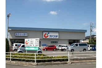 カワチ薬品 自治医大店(ドラッグストア)まで1272m エクセル三番館