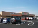 TAIRAYA上三川店（2489ｍ） グレースコート Ａ