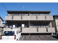 サンライズD(緑）