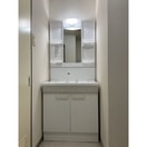 スペースが確保できる洗面所です ガーデンムツミA