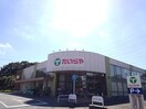 たいらや自治医大店まで300m アヴェニールソルティＢ