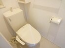 落ち着いた色調のトイレです ルピナス