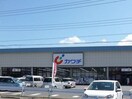 カワチ真岡東店まで1210m ソレイユ　２９４