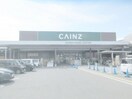 カインズホーム 宇都宮平出店(電気量販店/ホームセンター)まで1953m ニューハイツイザワⅡ