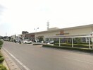 ヨークベニマル簗瀬店（689ｍ） グリシーヌ･ミワ