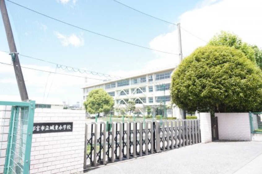宇都宮市城東小学校(小学校)まで266m グリシーヌ･ミワ