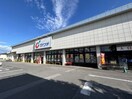 カワチ薬品 今泉店(ドラッグストア)まで577m 泉ヶ丘クリーンハイツA